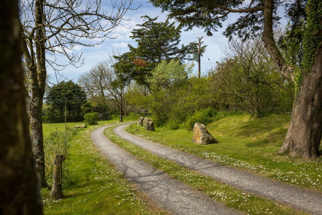 The Nogg Cottages Solva Exterior photo