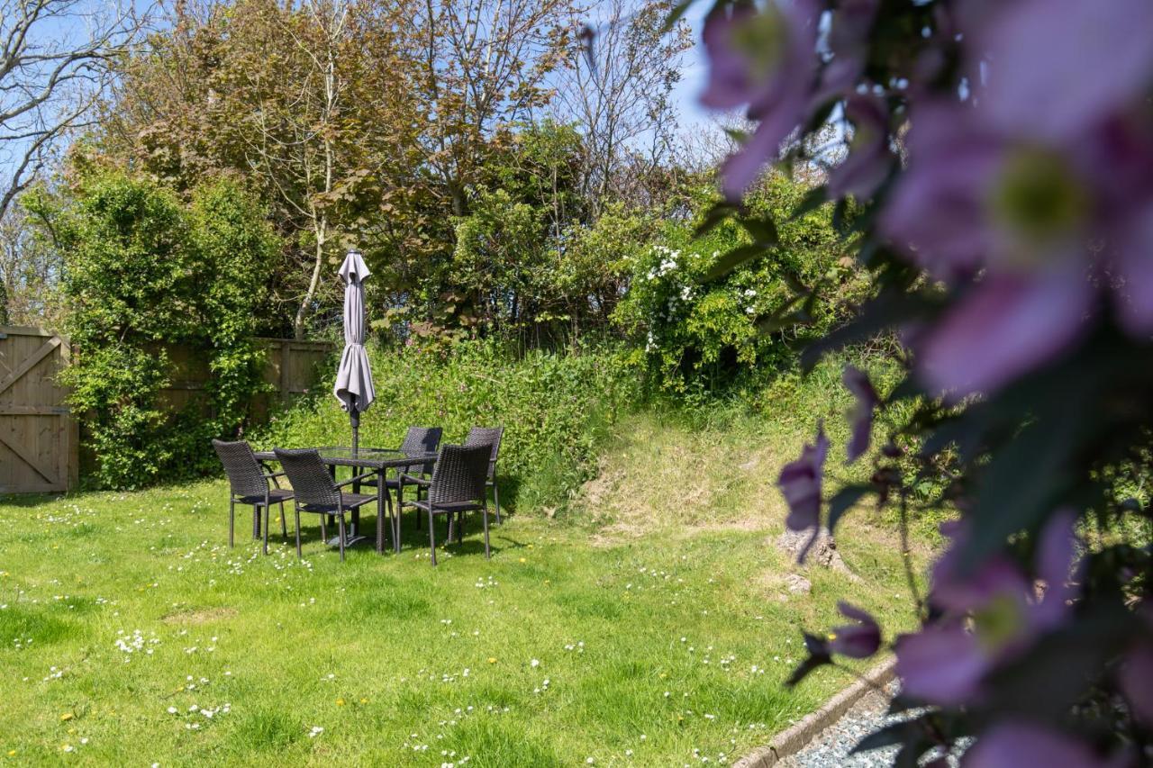 The Nogg Cottages Solva Exterior photo